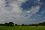 DSC_5014s.jpg