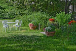 DSC_5072s.jpg