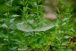 DSC_5408s.jpg