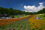 DSC_6057s.jpg