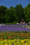 DSC_6065s.jpg