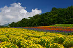 DSC_6069s.jpg