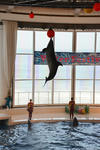 DSC_6386s.jpg