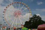 DSC_6875s.jpg