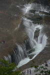 DSC_6513s.jpg