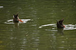 DSC_8124s.jpg