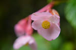 DSC_8145s.jpg