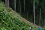 DSC_8161s.jpg