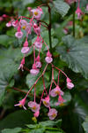 DSC_8175s.jpg