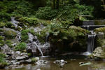 DSC_8212s.jpg