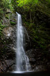 DSC_8232s.jpg