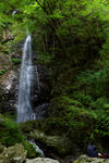 DSC_8242s.jpg