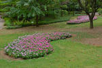 DSC_8387.jpg