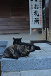 DSC_8508s.jpg