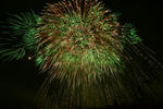 DSC_8882s.jpg