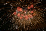 DSC_9026s.jpg