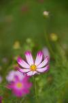 DSC_9145s.jpg