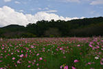 DSC_9149s.jpg