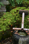 DSC_9198s.jpg