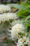 DSC_9218s.jpg