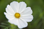 DSC_9227s.jpg
