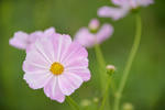 DSC_9282s.jpg