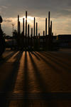 DSC_9293s.jpg