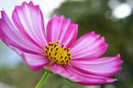 DSC_9303s.jpg