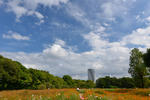 DSC_9309s.jpg