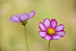 DSC_9323s.jpg