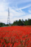 DSC_9353s.jpg