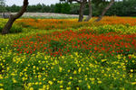 DSC_9461s.jpg
