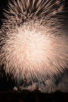 DSC_9873s.jpg