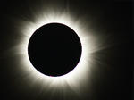 IMG_2778corona_trim_s.jpg