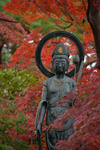 DSC_3163s.jpg