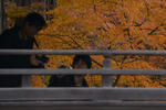 DSC_3178s.jpg
