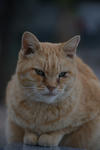 DSC_3191s.jpg
