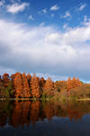 DSC_3249s.jpg