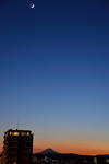 DSC_3318.jpg
