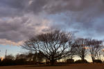 DSC_3372s.jpg