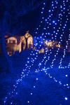 DSC_3444s.jpg