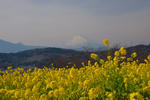 DSC_3491s.jpg