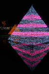 DSC_3615s.jpg