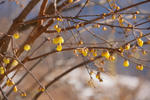 DSC_3683s.jpg