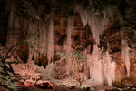 DSC_3784s.jpg