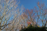 DSCF8459s.jpg