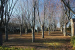 DSCF8467s.jpg