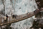 DSC_3807s.jpg