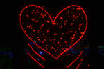 DSC_4003s.jpg