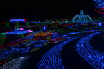 DSC_4006s.jpg